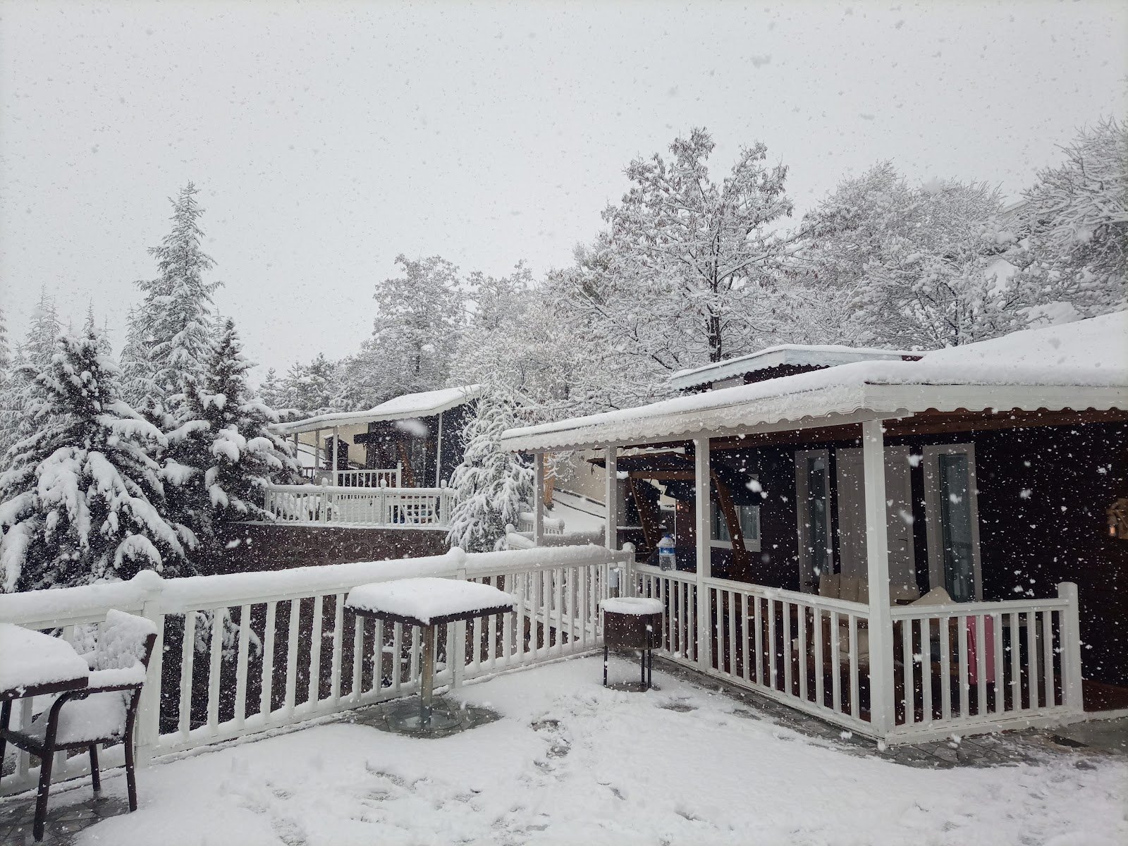 Çelik Resort photo 5