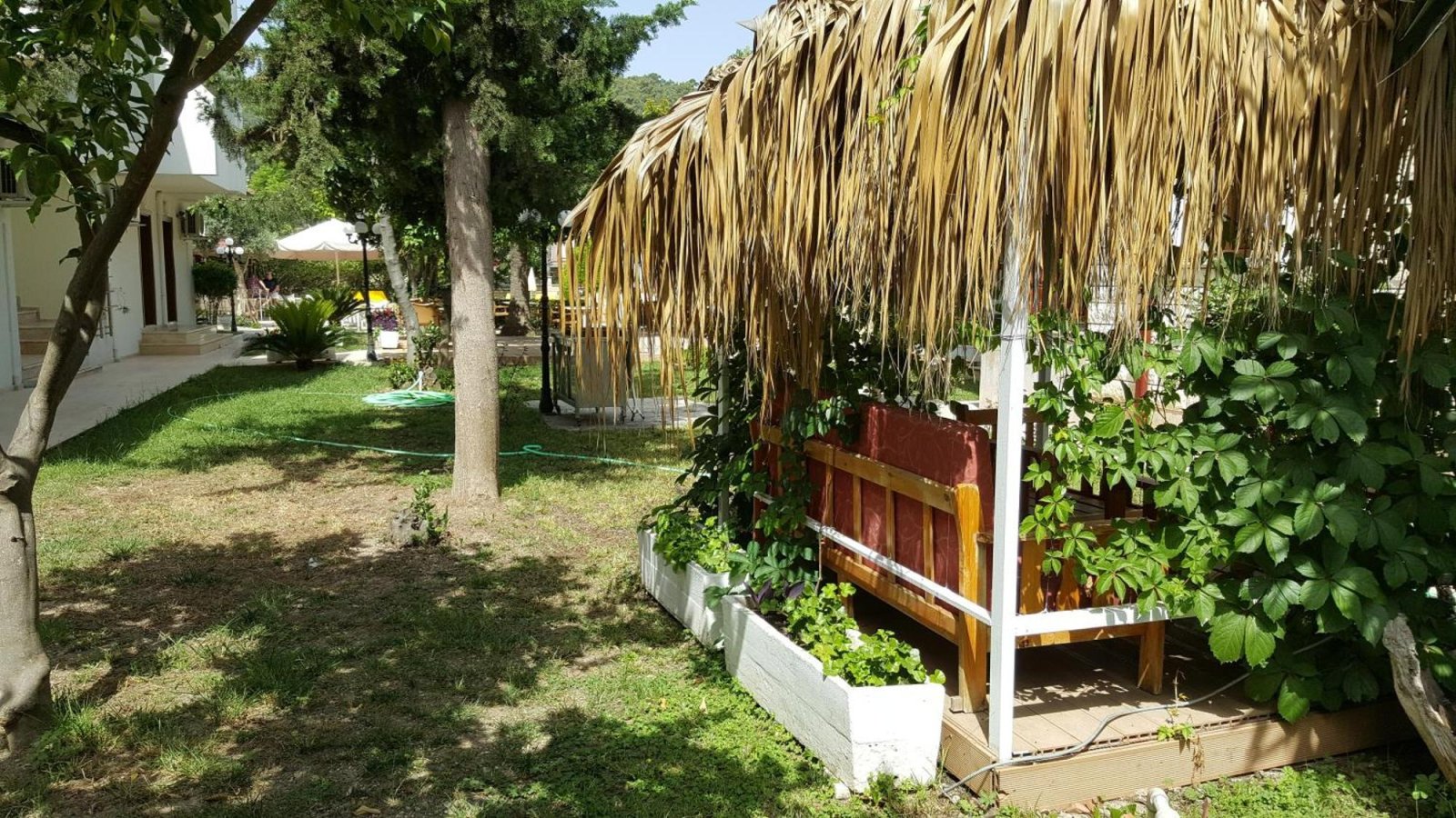 Felice Hotel photo 7