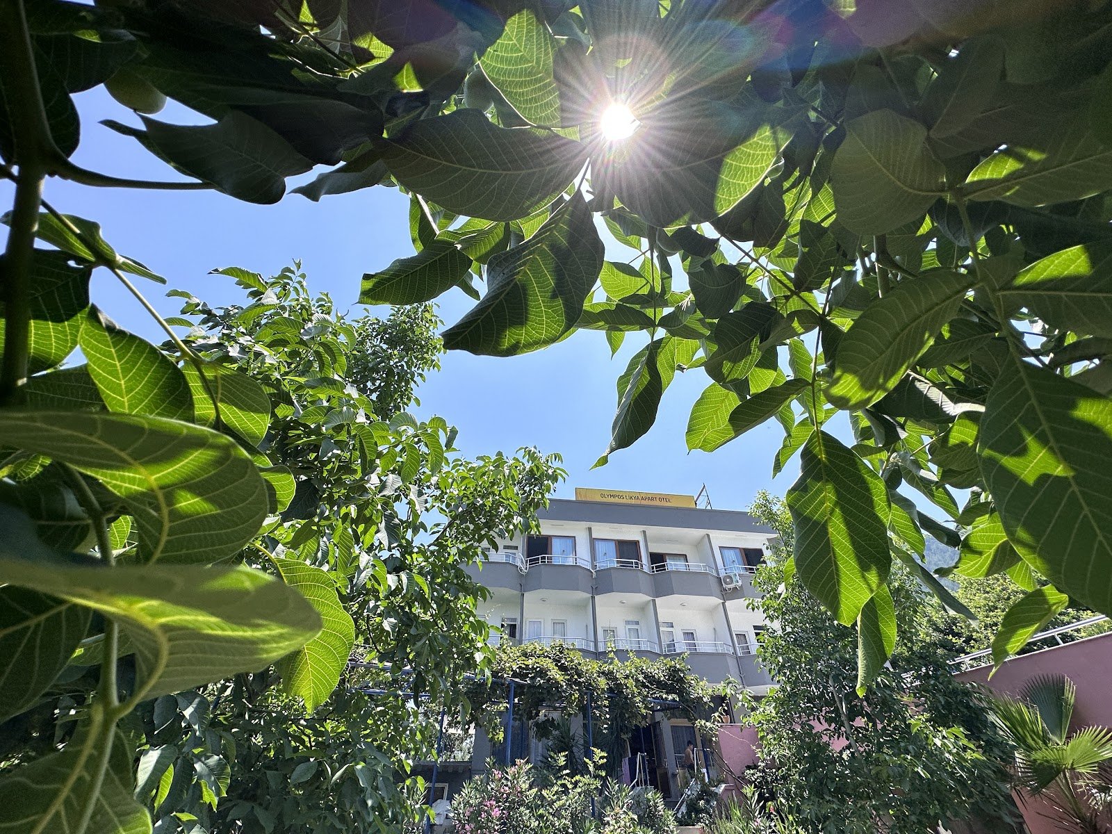 Olympos Likya Apart Hotel photo 2