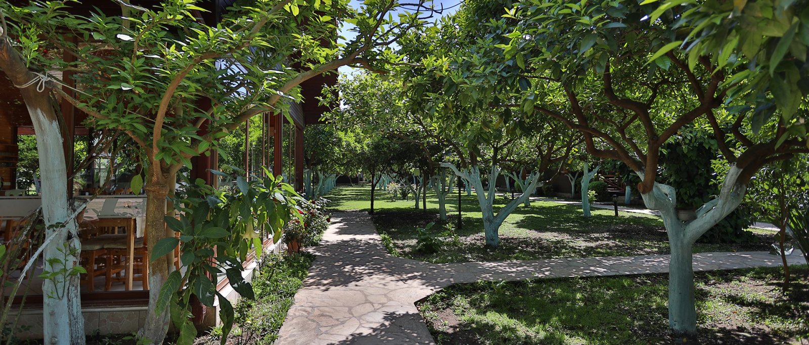 Mercan Bungalow photo 5