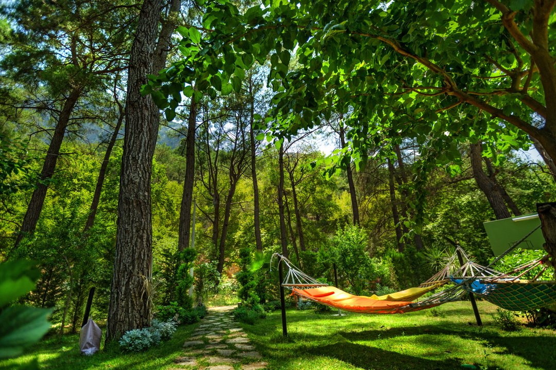 Zümrüt Çıralı Boutique Hotel photo 6