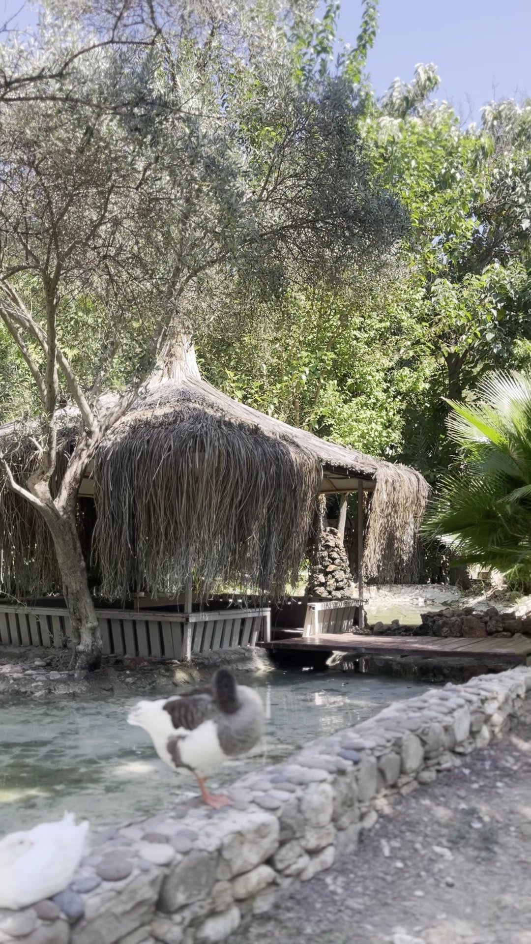 Luna Dorada Inn photo 3
