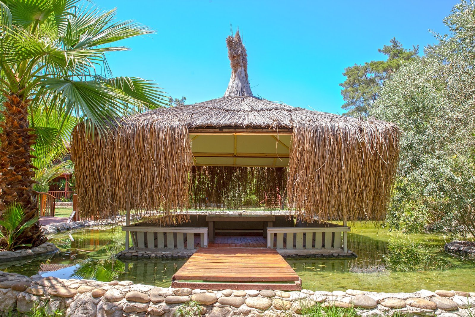 Luna Dorada Inn photo 4