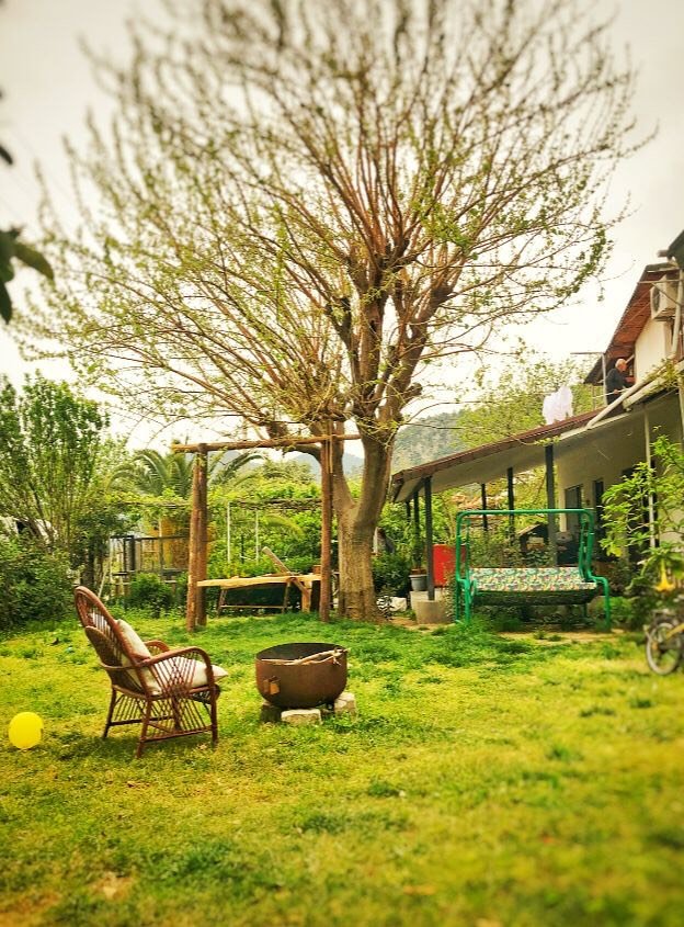 Gaya Pansiyon Çirali photo 5