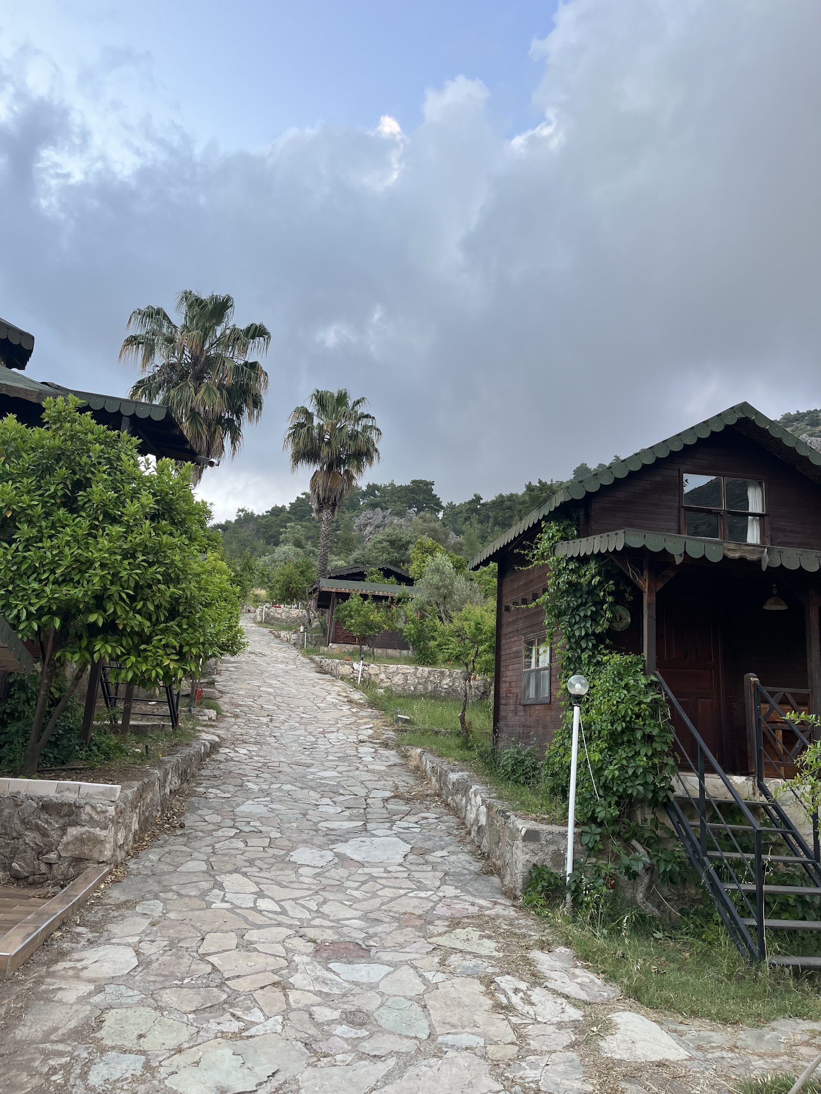 Arzum Bungalovs photo 3