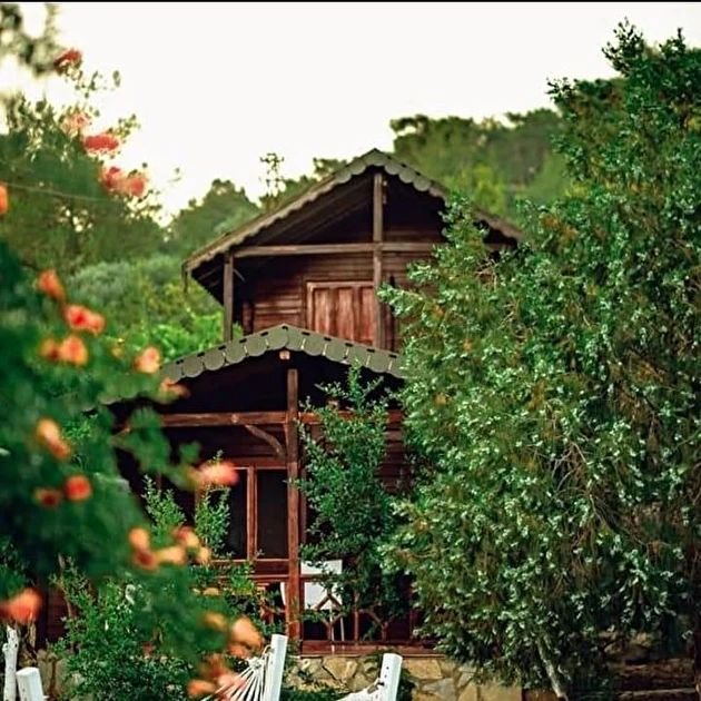 Arzum Bungalovs photo 2