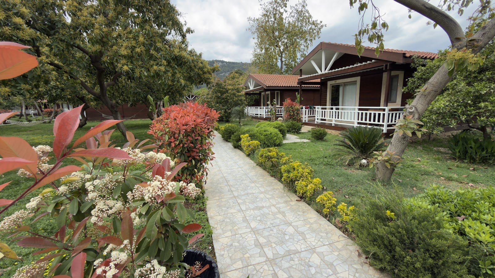 Apella Hotel photo 6