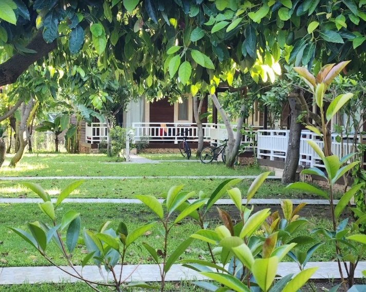 Apella Hotel photo 4