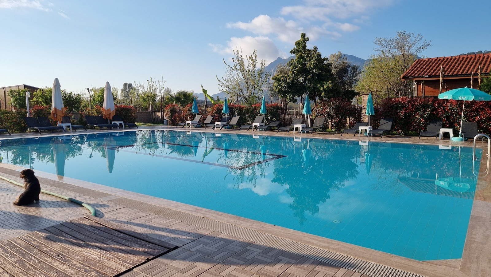 Apella Hotel photo 8
