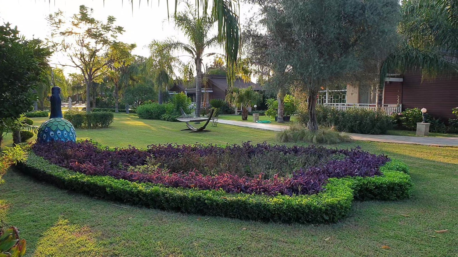 Çıralı Hera Hotel & SPA photo 4