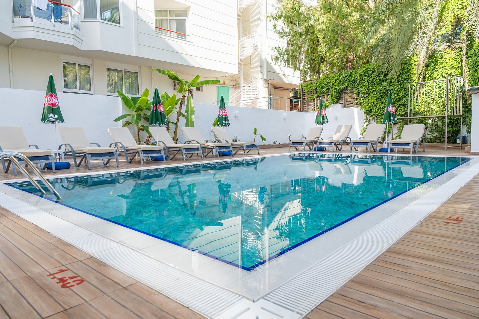 Sol Beach Hotel photo 5