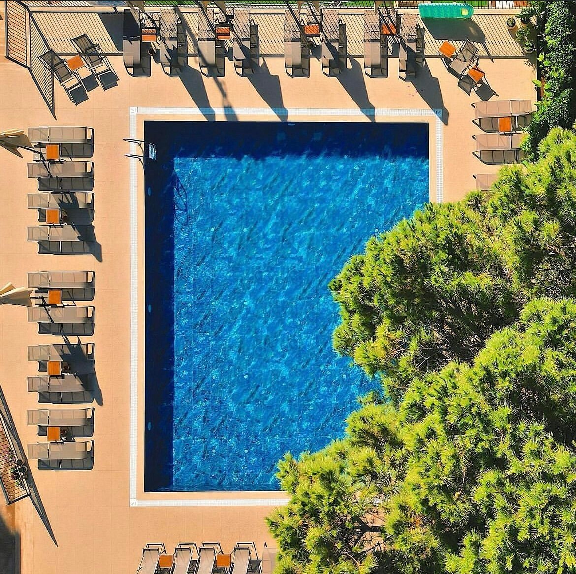 Hotel Caprea photo 9