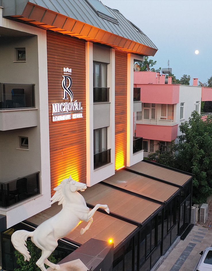 MicRoyal Hotel photo 2