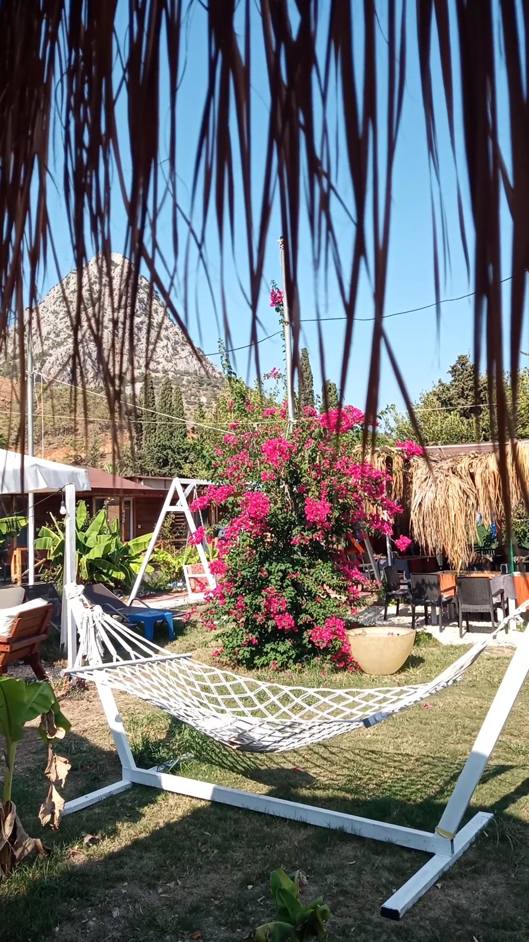 ZEYOS Lodge photo 3