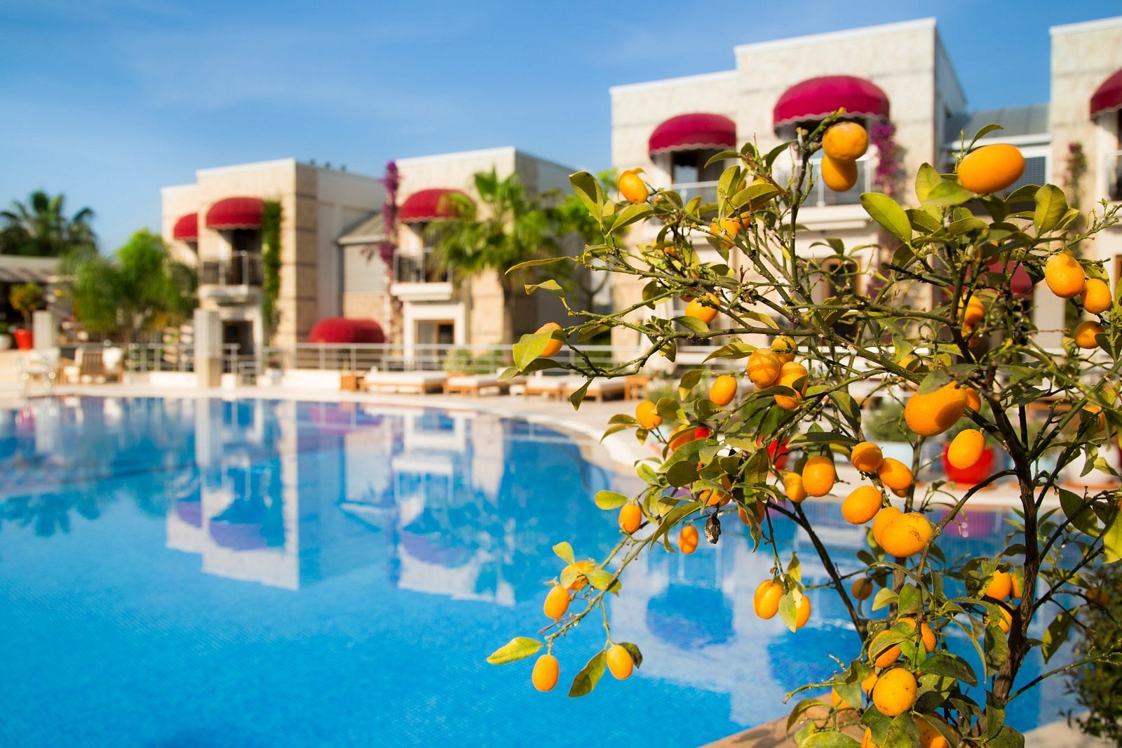 Bodrium Hotel & Spa photo 4