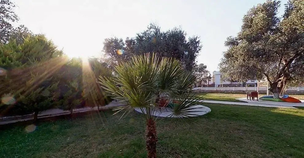 Club Alisya photo 2