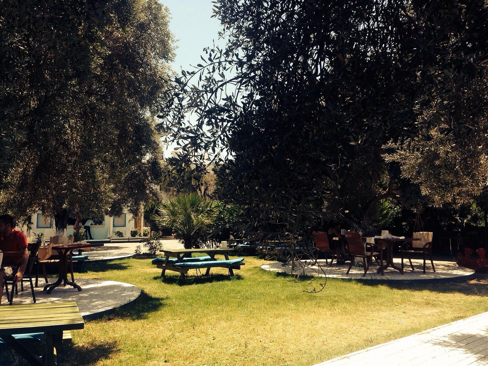Club Alisya — Bodrum