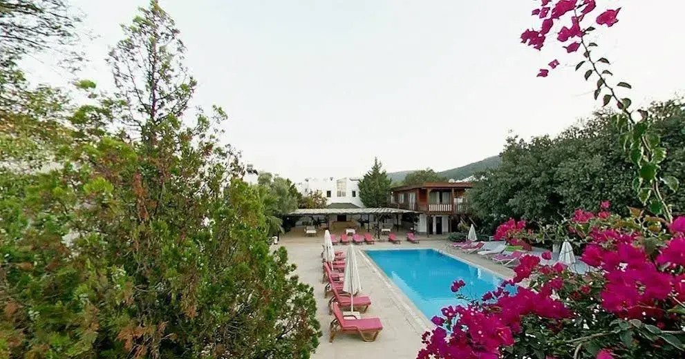 Club Alisya photo 3