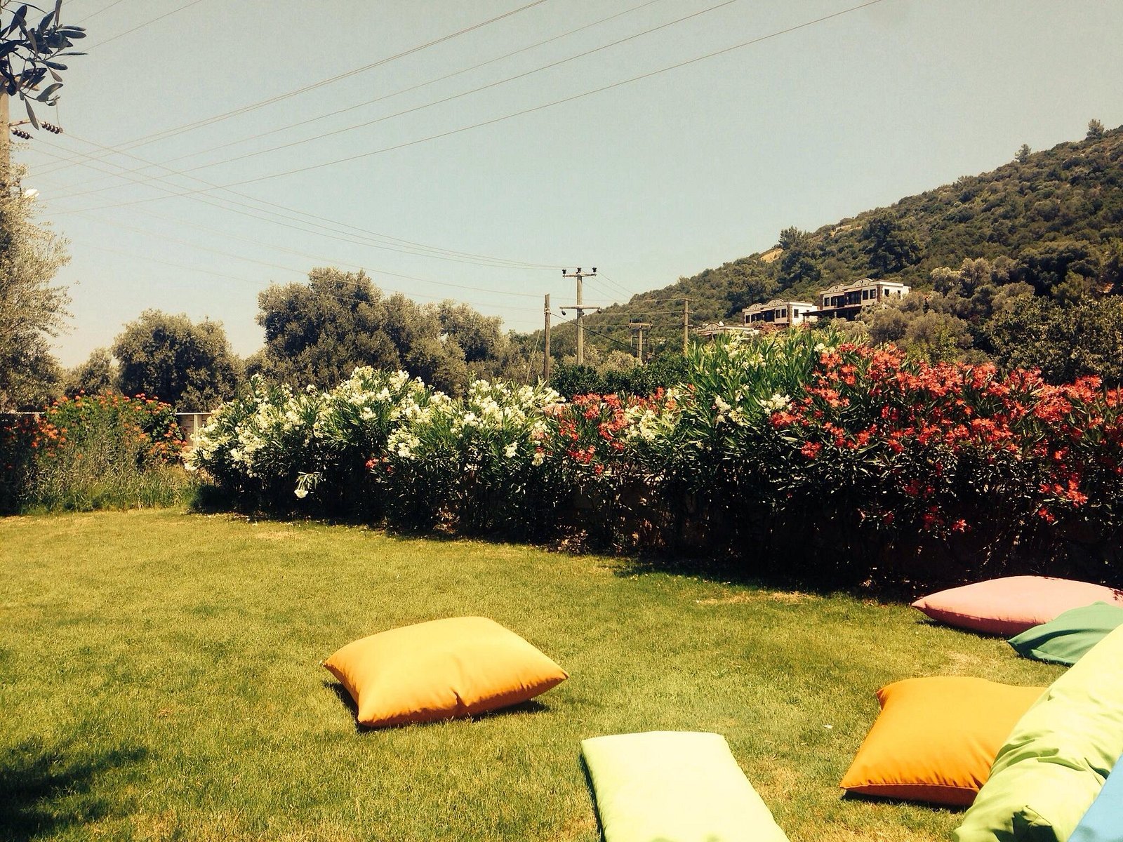 Club Alisya photo 4