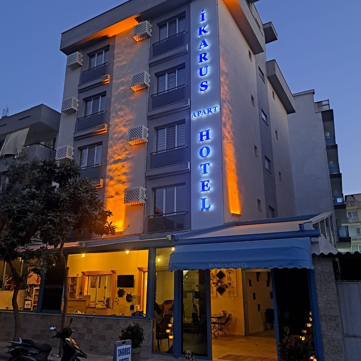 Ikarus Hotel photo 2