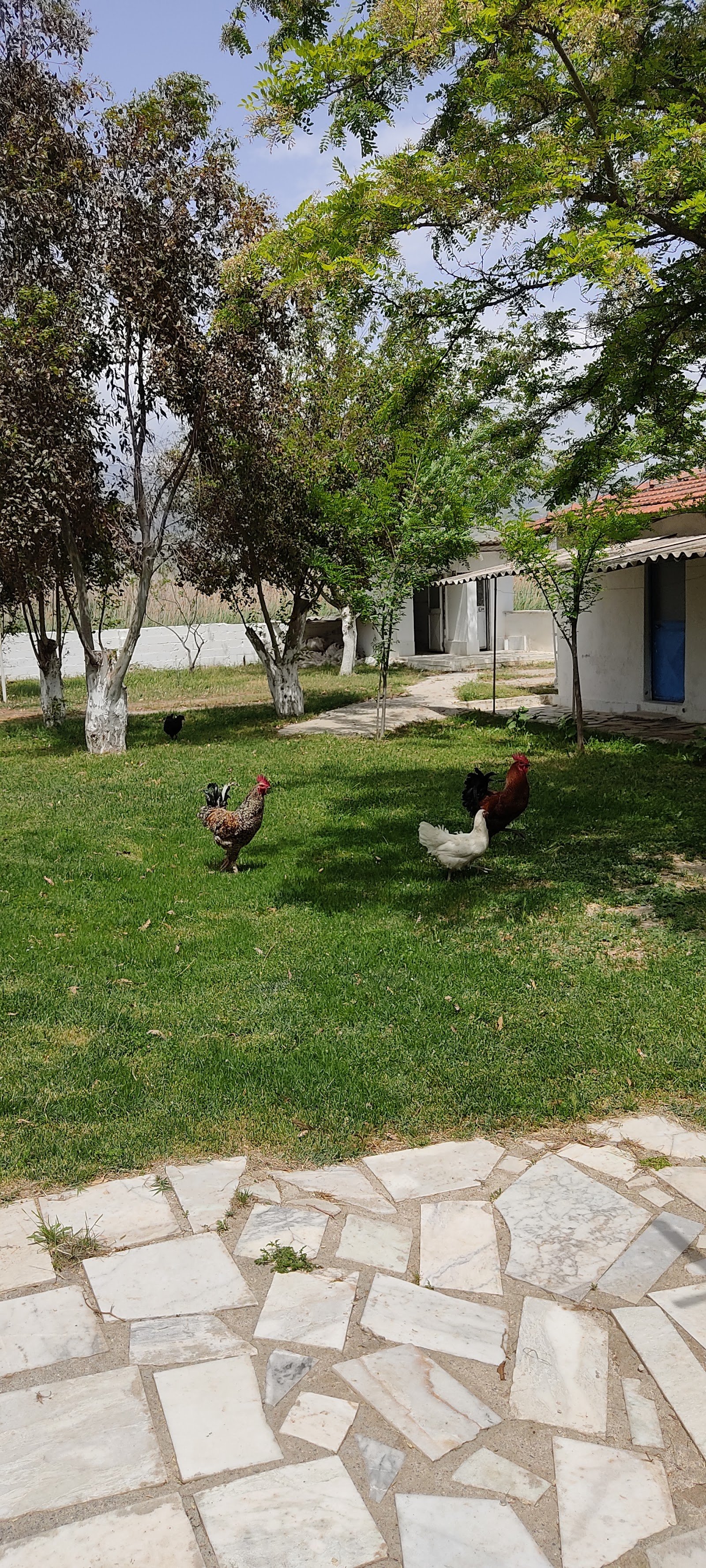 Babacik Termal Otel Aile Banyolari photo 6
