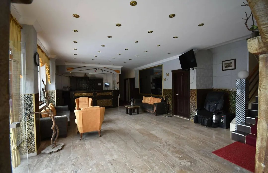 Anerissa Hotel photo 7
