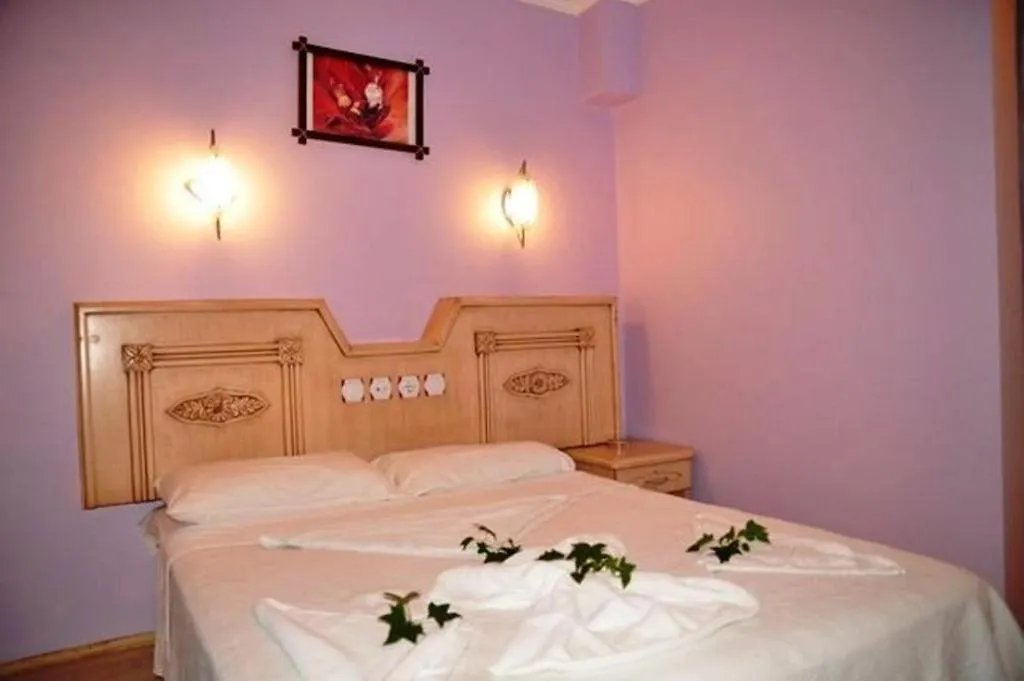 Anerissa Hotel photo 14