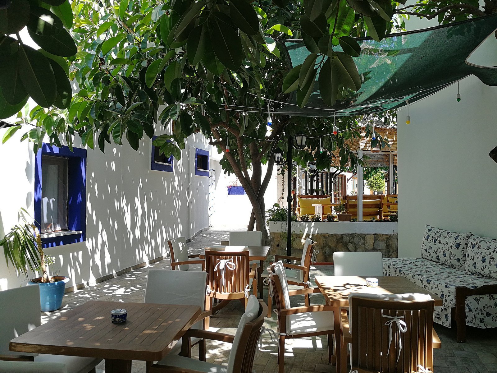 Oya Butik Otel & Suites photo 7