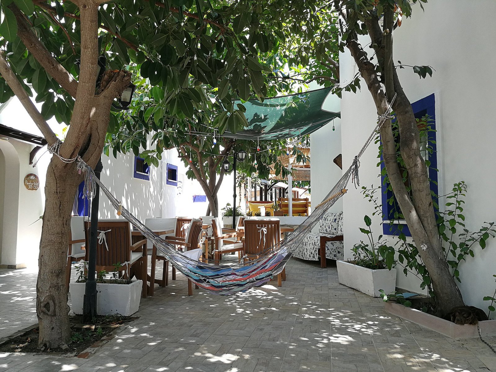 Oya Butik Otel & Suites photo 9