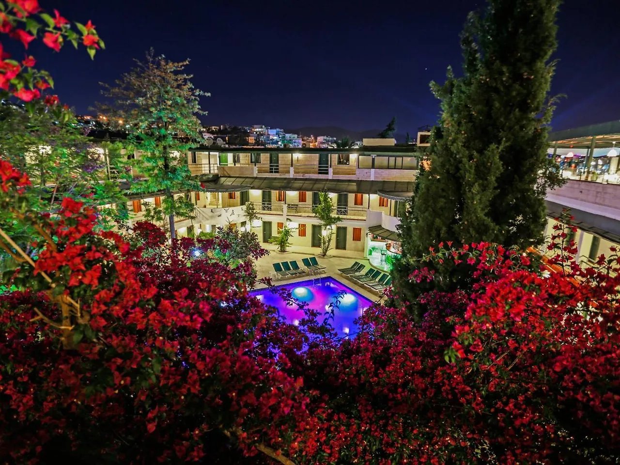 Casa Blue Hotel photo 4