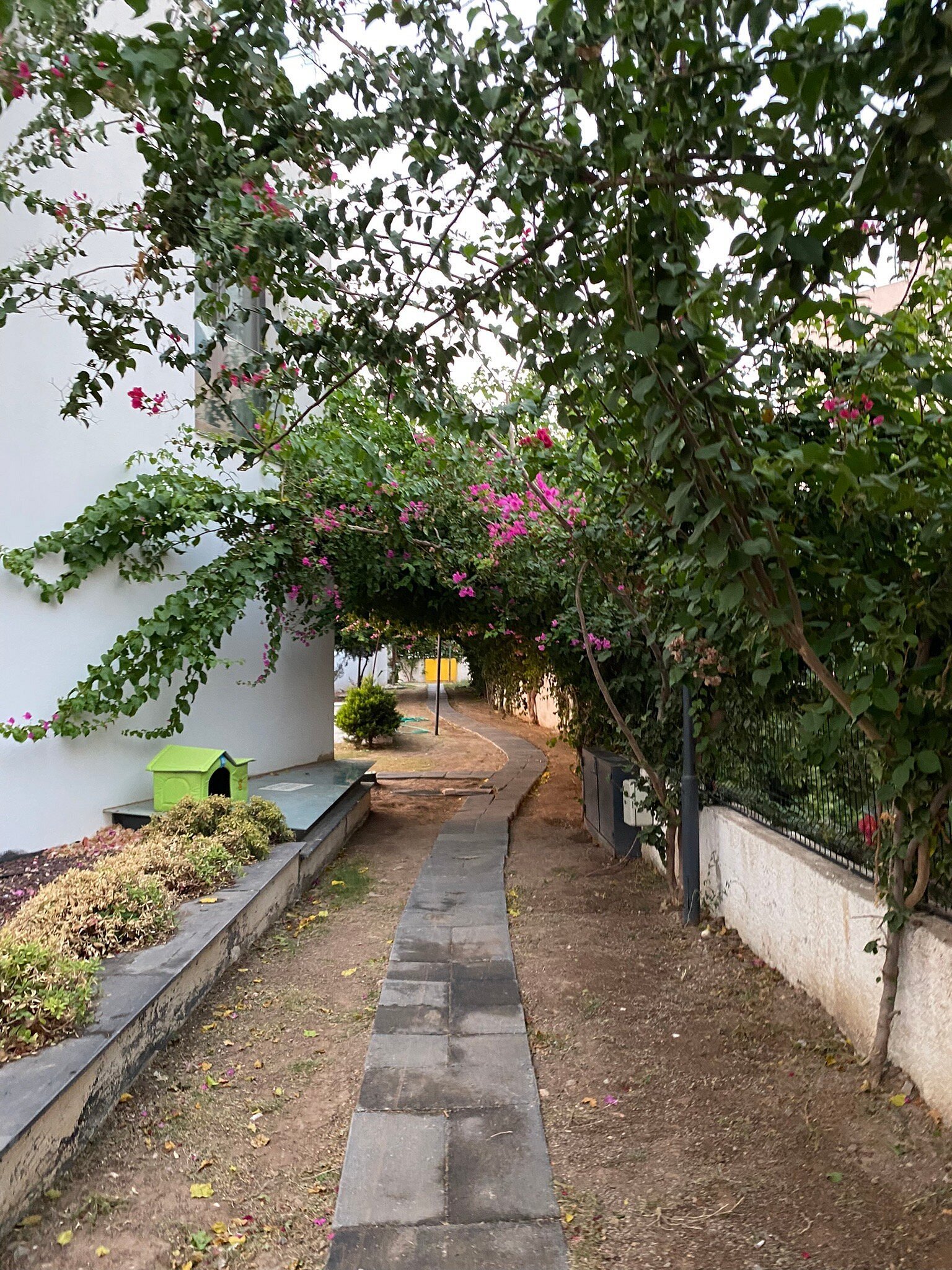 Ala Grand Residence photo 3