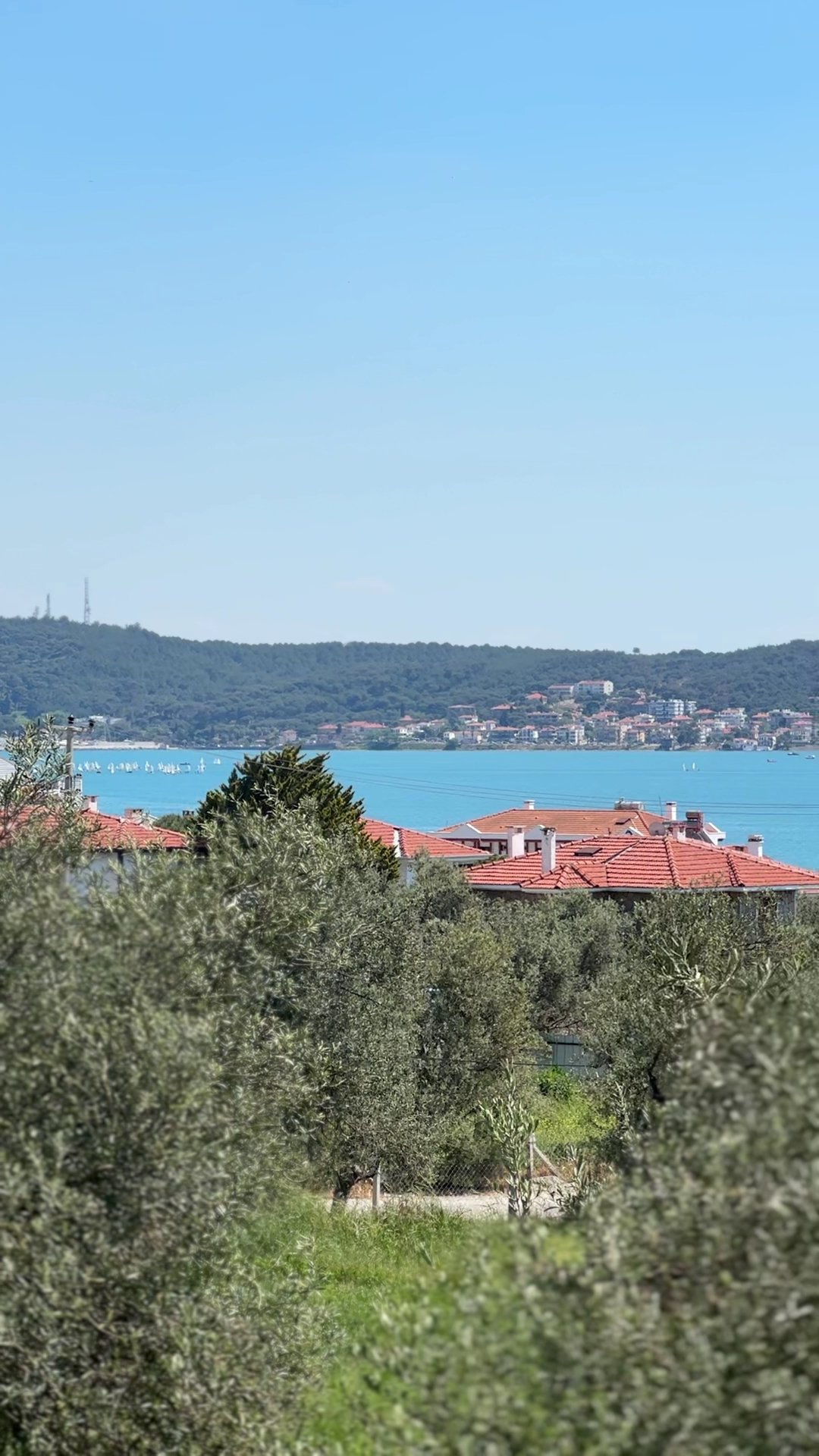 Cunda Fora Otel photo 3