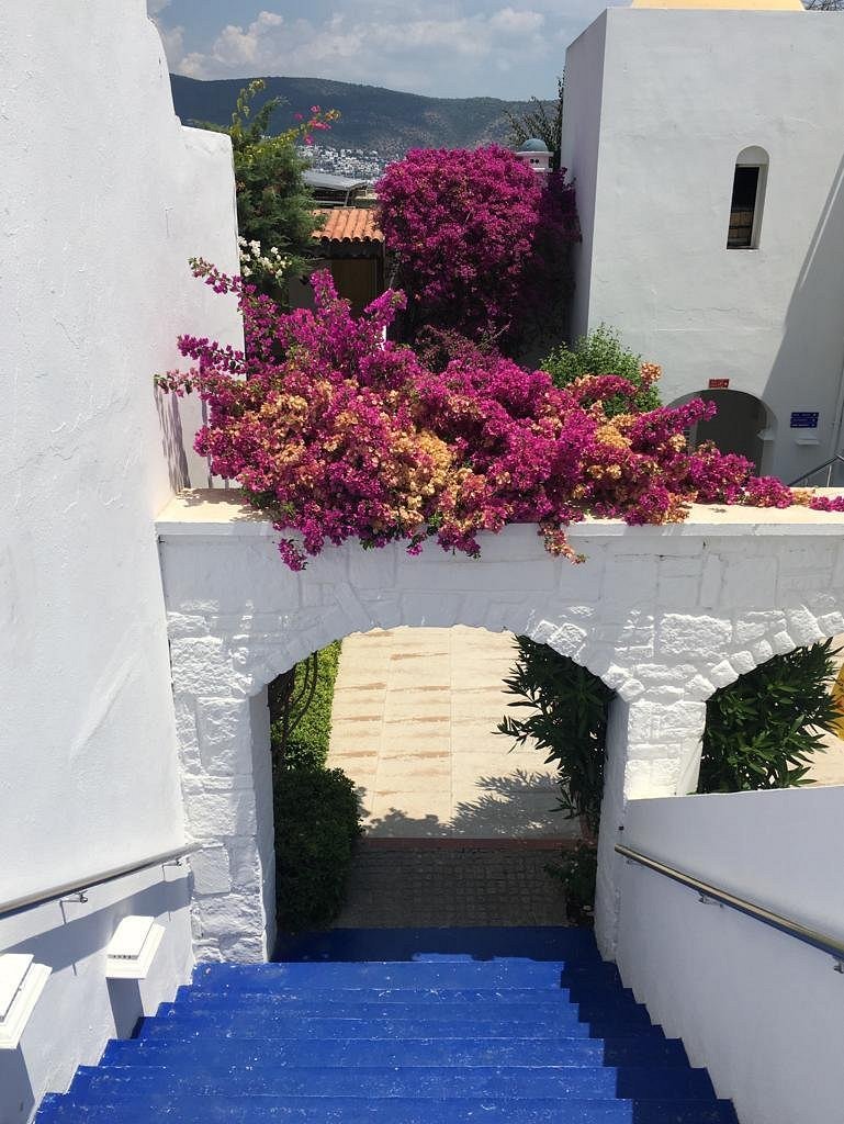 Salmakis Resort & Spa photo 6