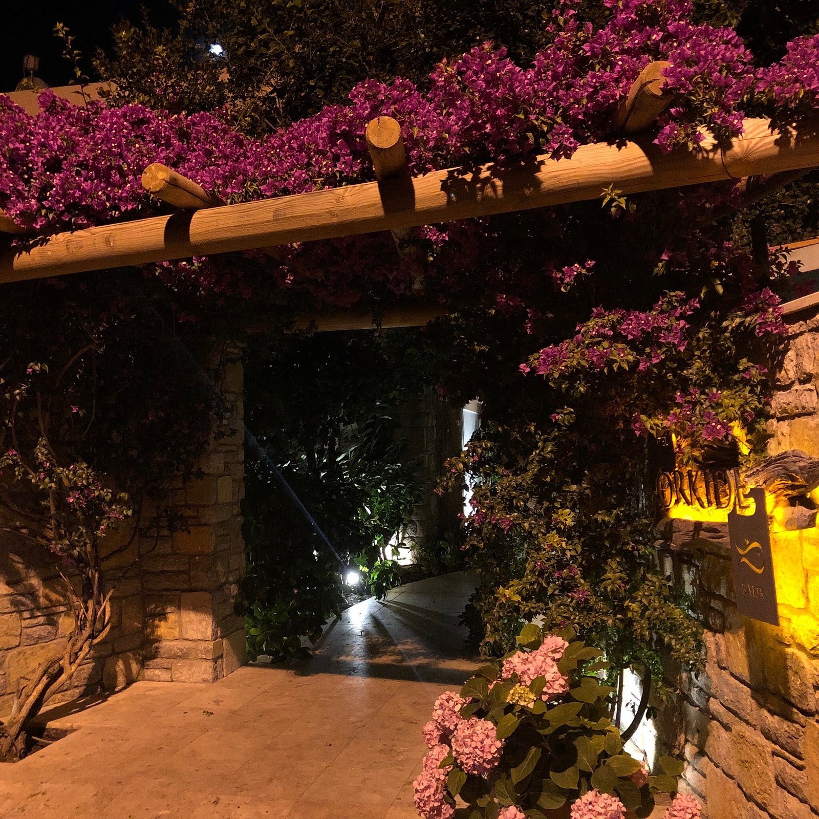 Orkide Hotel photo 6