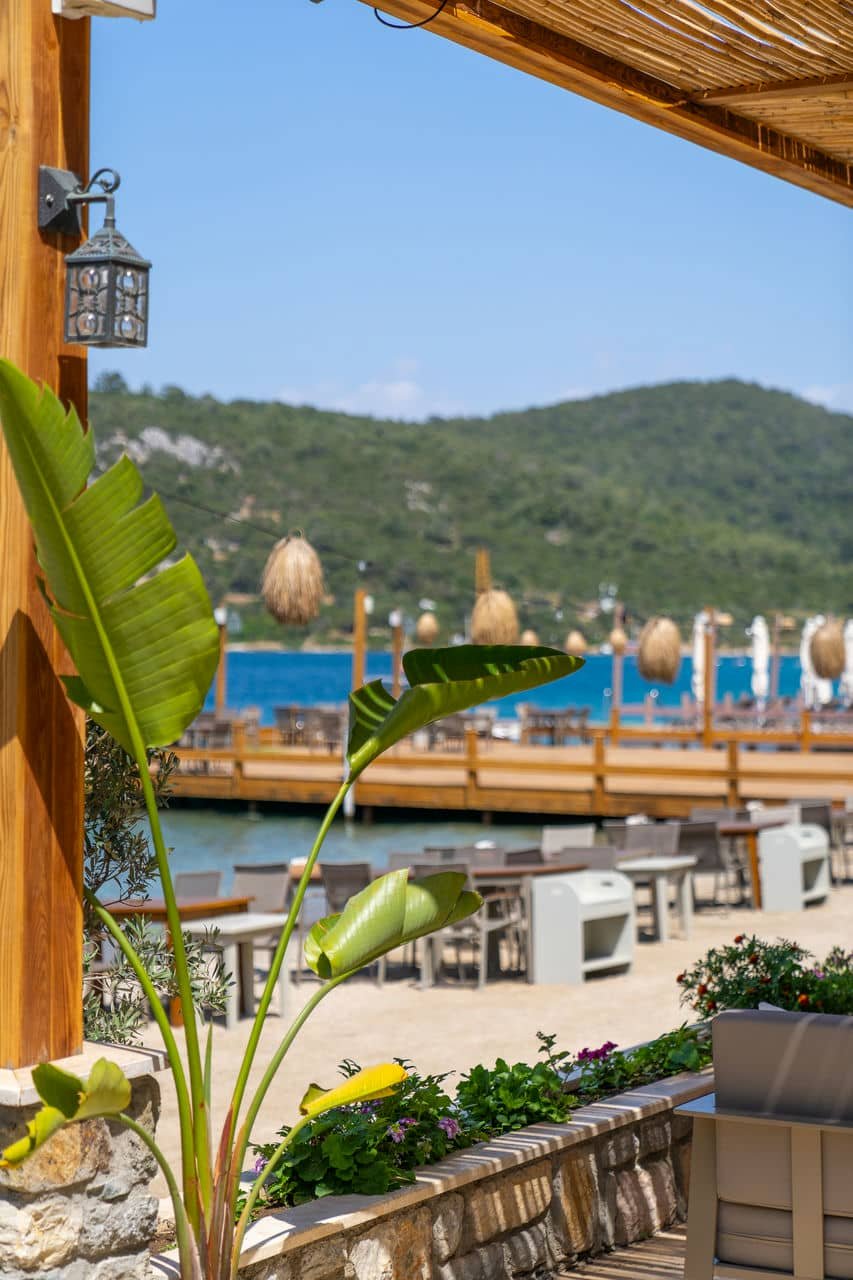 Orkide Hotel photo 12