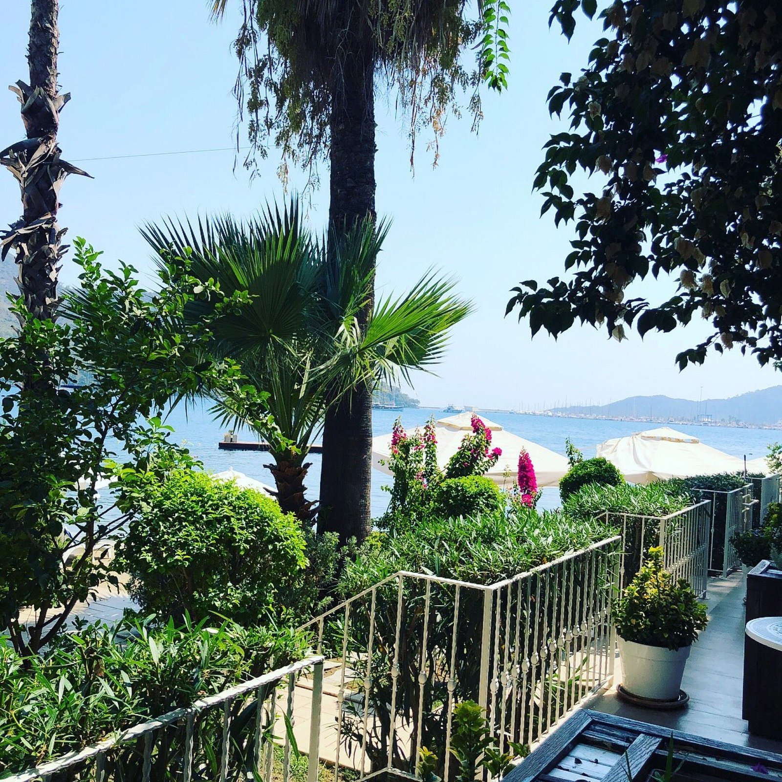 Joya Del Mar Hotel photo 6
