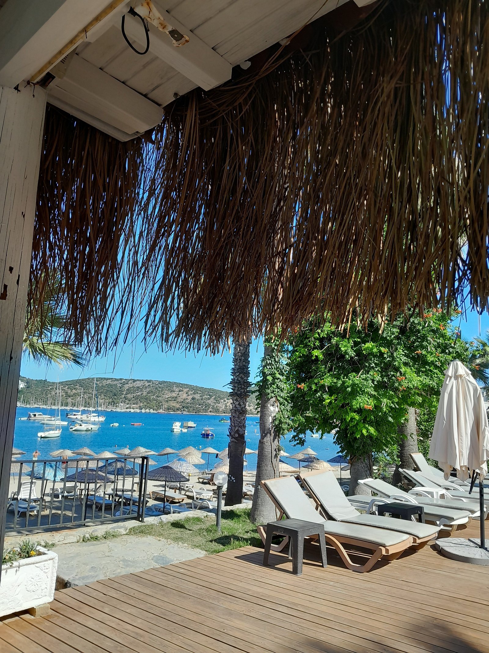 Mira Beach Resort Bodrum photo 3