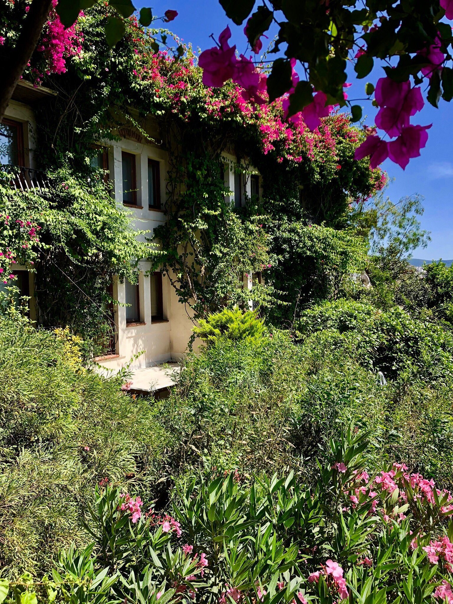 El Vino Hotel & Suites — Bodrum