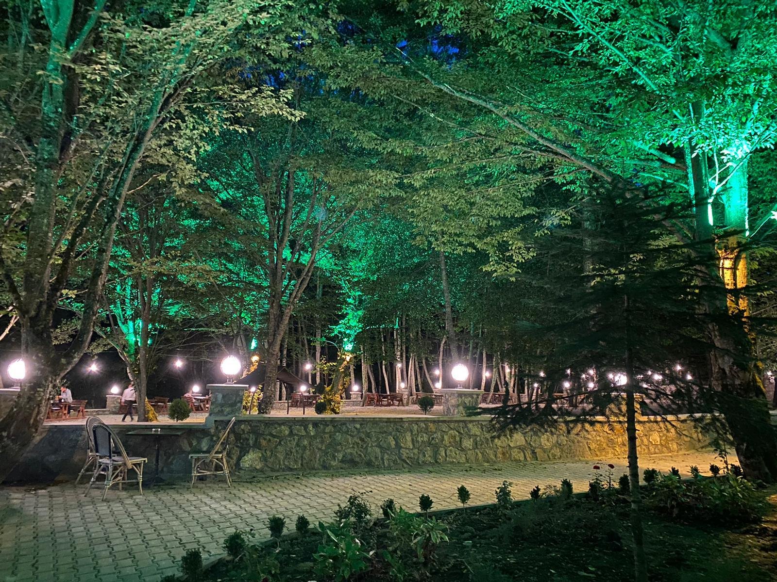 Abant Şömine's Otel photo 2