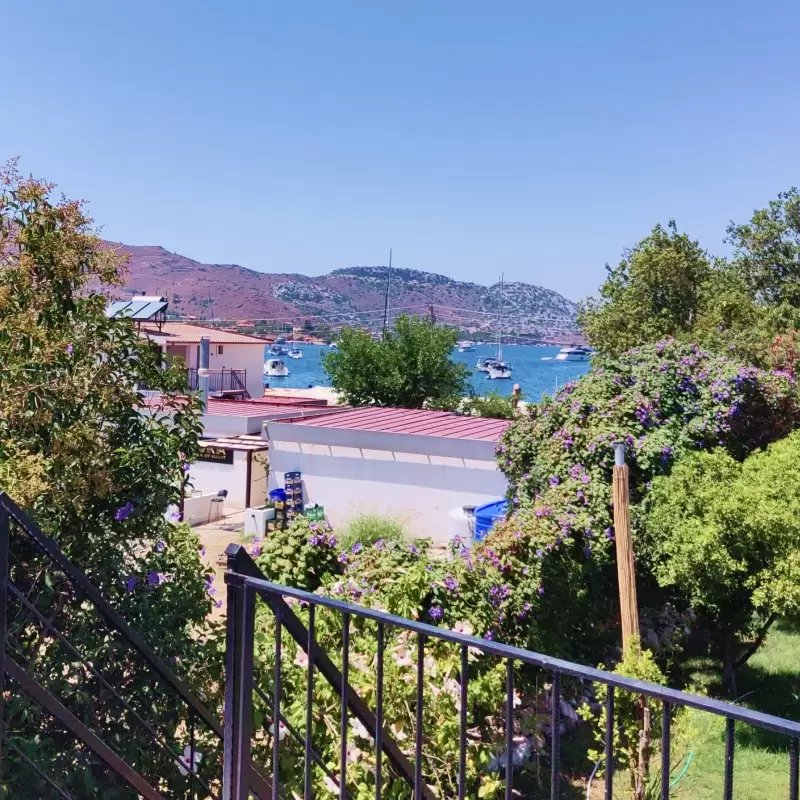 Selimiye Capkini photo 2