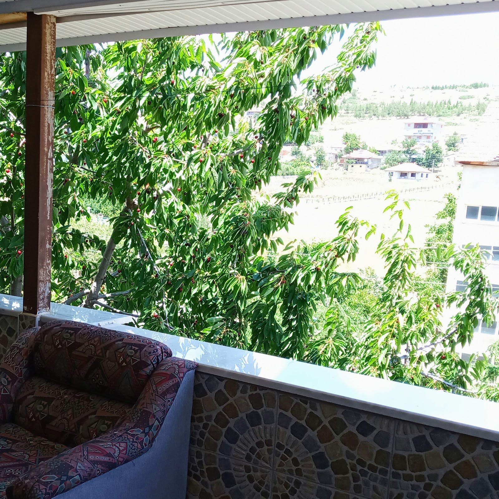 Salda Gölü Maldivler Pansiyon Cafe photo 3