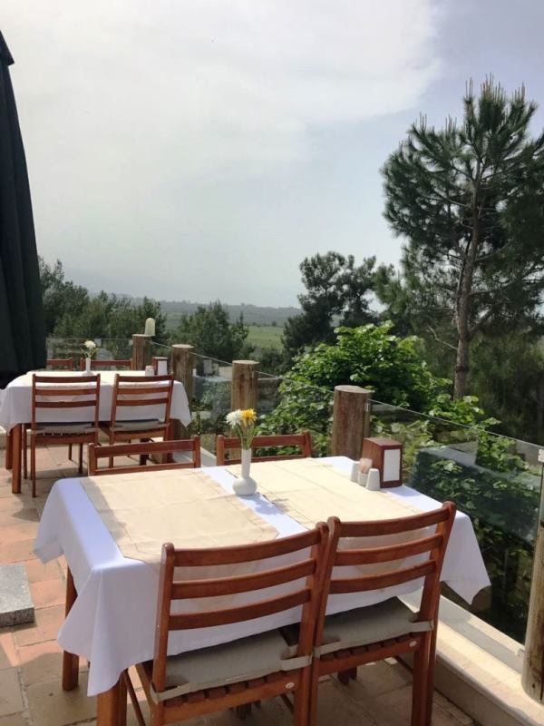 Villa Manço photo 4