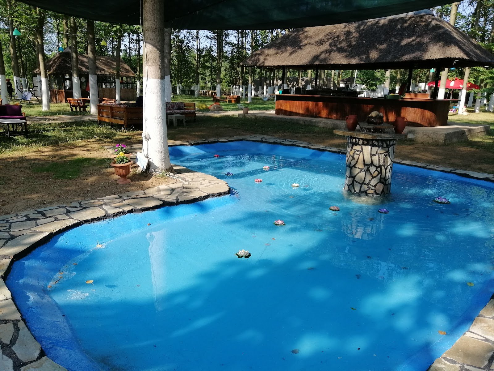Villa Nora photo 5