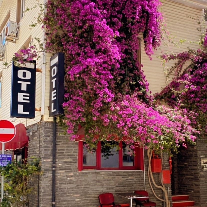 Begonvil Girit Pansiyon photo 3