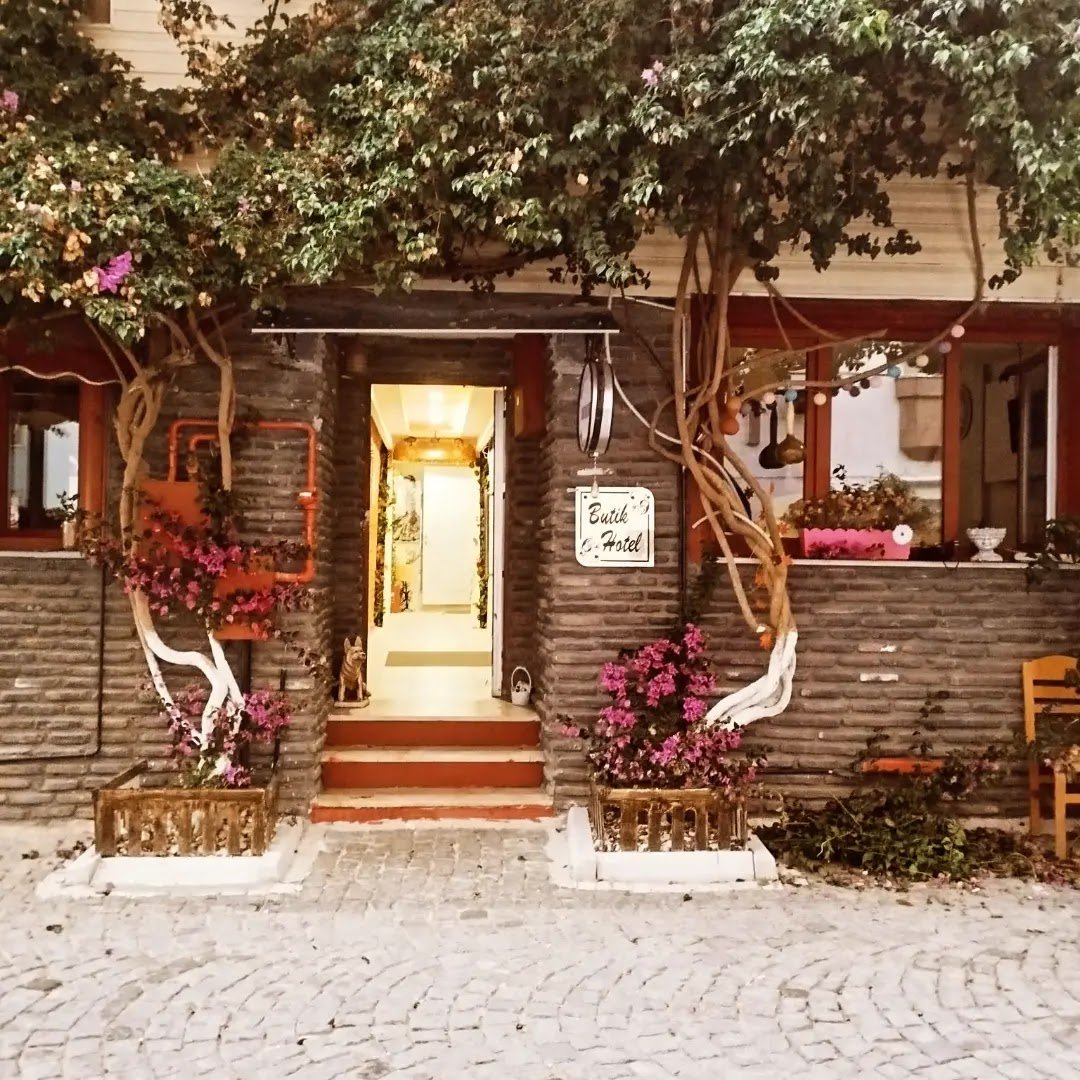 Begonvil Girit Pansiyon — Mudanya, Bursa