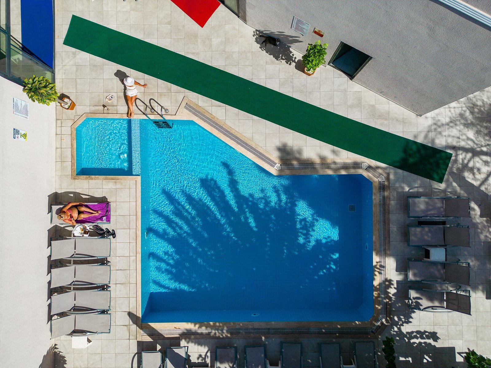 Emilia Hotel photo 9
