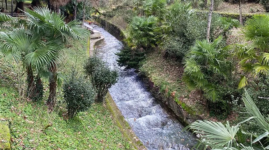 Vela Verde Hotel & Spa photo 3