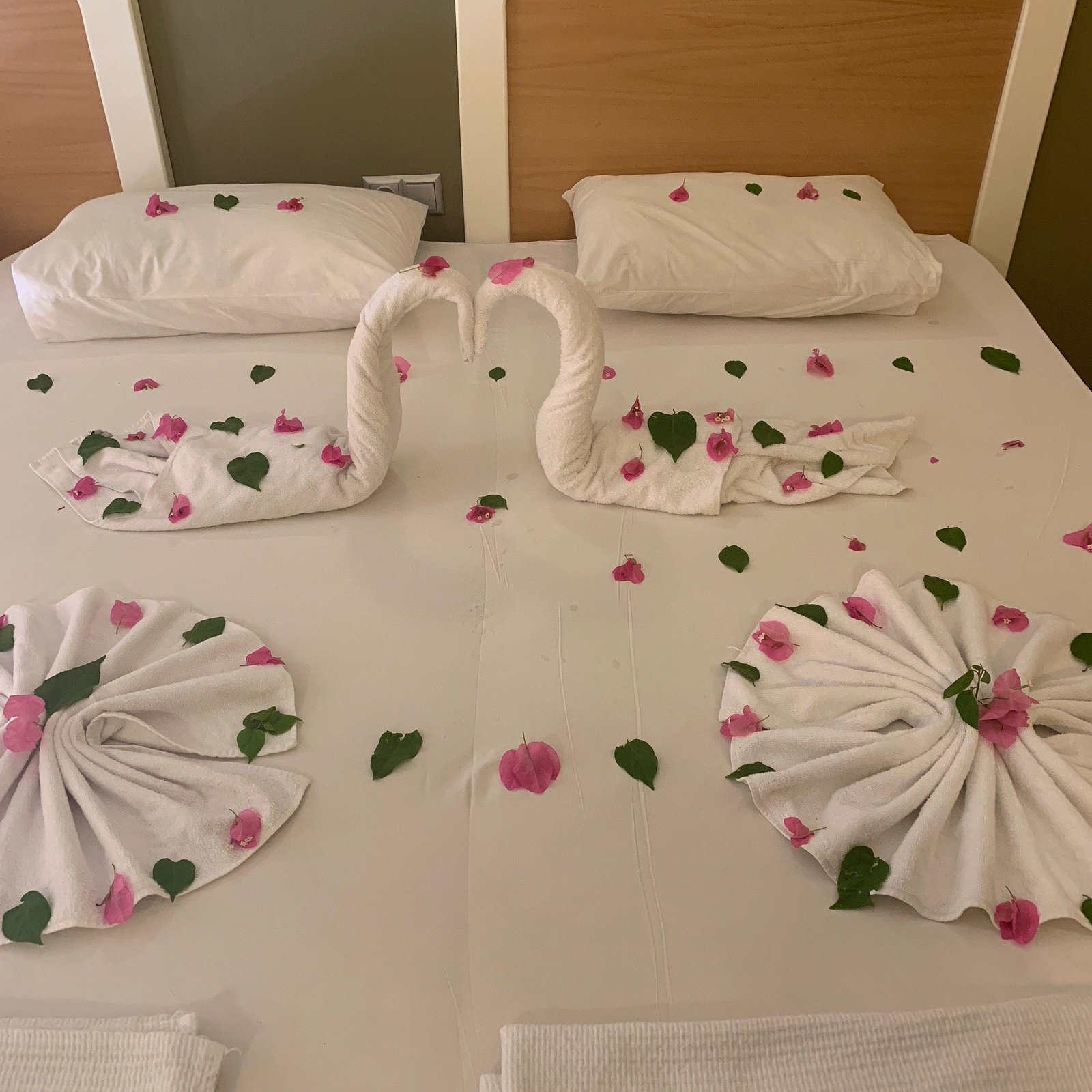 Alenz Suite Hotel photo 14