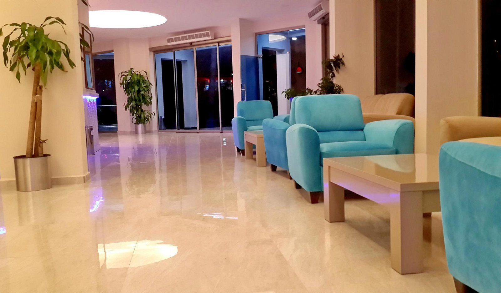 Palmea Hotel photo 3