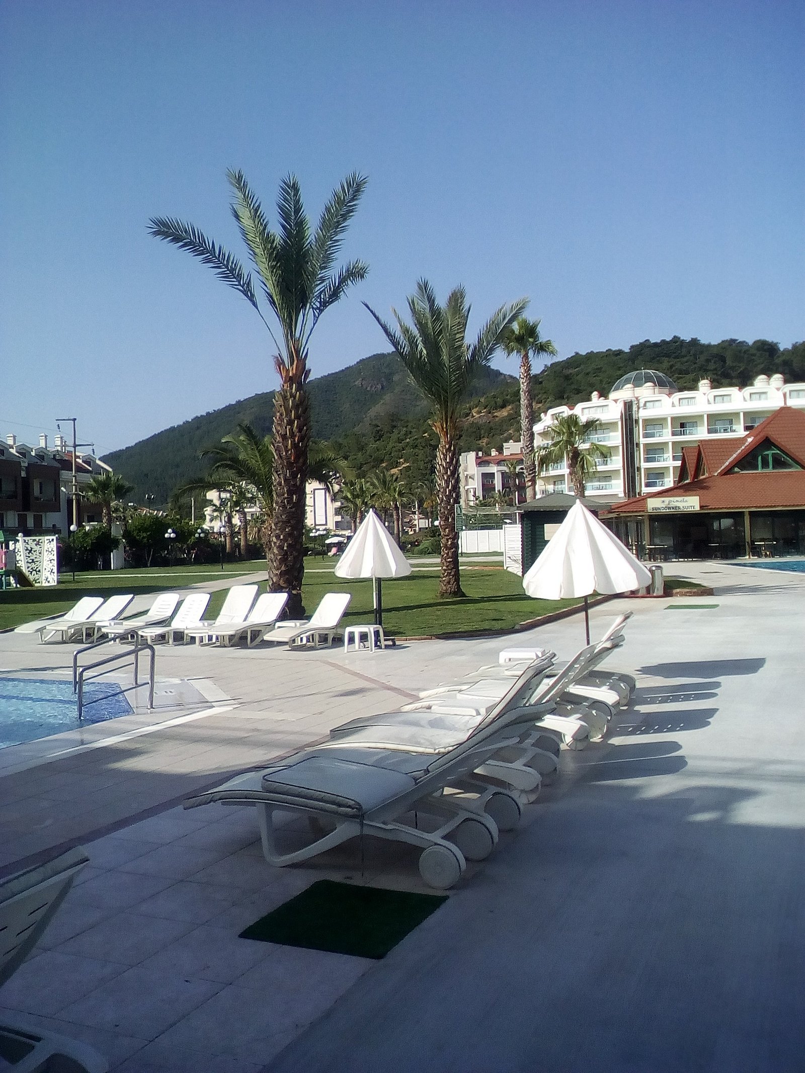 Pineta Club Hotel photo 6